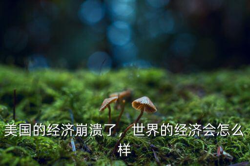 美國的經(jīng)濟(jì)崩潰了，世界的經(jīng)濟(jì)會(huì)怎么樣