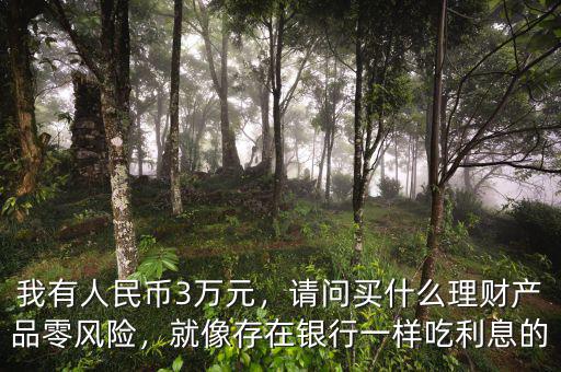 我有人民幣3萬(wàn)元，請(qǐng)問(wèn)買什么理財(cái)產(chǎn)品零風(fēng)險(xiǎn)，就像存在銀行一樣吃利息的