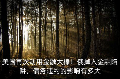 美國再次動用金融大棒！俄掉入金融陷阱，債務(wù)違約的影響有多大