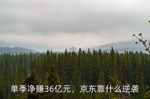 單季凈賺36億元，京東靠什么逆襲