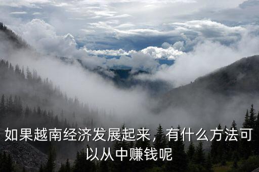 如果越南經(jīng)濟(jì)發(fā)展起來，有什么方法可以從中賺錢呢
