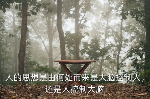 人的思想是由何處而來是大腦控制人，還是人控制大腦