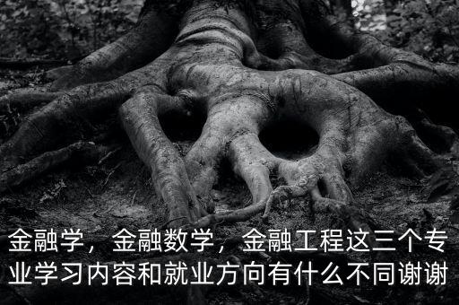 金融學(xué)，金融數(shù)學(xué)，金融工程這三個專業(yè)學(xué)習(xí)內(nèi)容和就業(yè)方向有什么不同謝謝