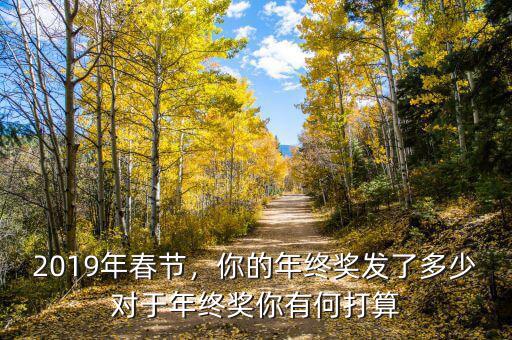 2019年春節(jié)，你的年終獎發(fā)了多少對于年終獎你有何打算