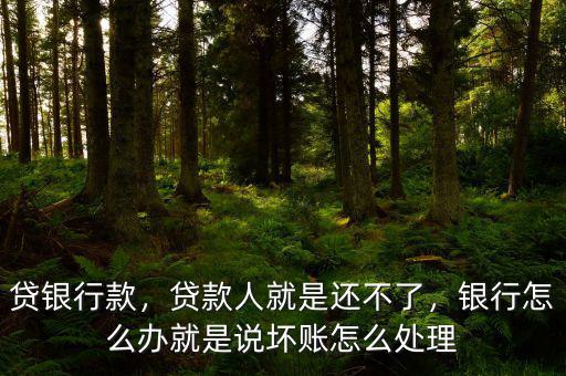 貸銀行款，貸款人就是還不了，銀行怎么辦就是說壞賬怎么處理
