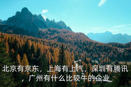 北京有京東，上海有上汽，深圳有騰訊，廣州有什么比較牛的企業(yè)