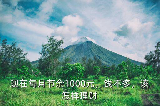 現(xiàn)在每月節(jié)余1000元，錢不多，該怎樣理財