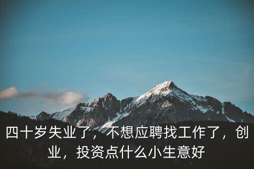 四十歲失業(yè)了，不想應(yīng)聘找工作了，創(chuàng)業(yè)，投資點(diǎn)什么小生意好