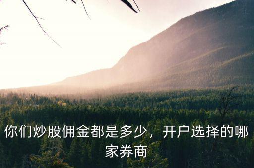 你們炒股傭金都是多少，開(kāi)戶選擇的哪家券商