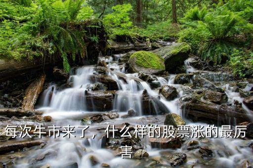 每次牛市來了，什么樣的股票漲的最厲害