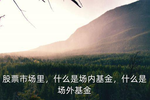 股票市場里，什么是場內(nèi)基金，什么是場外基金