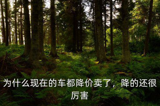 為什么現(xiàn)在的車都降價(jià)賣了，降的還很厲害