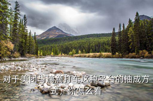 對(duì)于美團(tuán)與滴滴打車(chē)這種平臺(tái)的抽成方式，你怎么看
