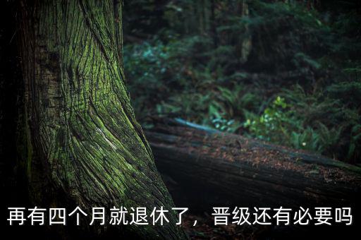 再有四個(gè)月就退休了，晉級(jí)還有必要嗎
