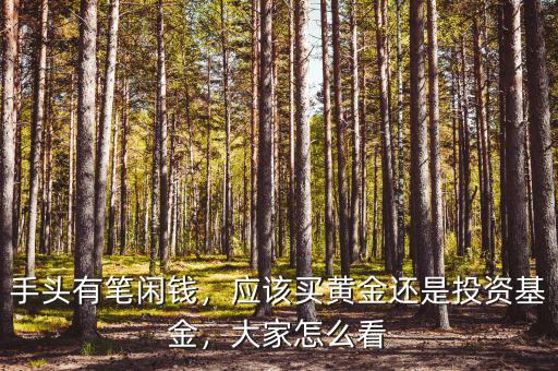手頭有筆閑錢，應(yīng)該買黃金還是投資基金，大家怎么看