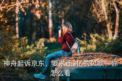 神舟起訴京東，要求還3億的欠款，你怎么看