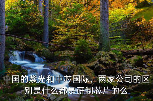 中國的紫光和中芯國際，兩家公司的區(qū)別是什么都是研制芯片的么