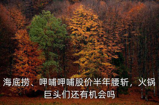 海底撈、呷哺呷哺股價半年腰斬，火鍋巨頭們還有機會嗎
