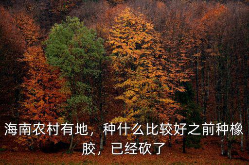 海南農(nóng)村有地，種什么比較好之前種橡膠，已經(jīng)砍了
