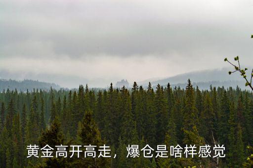 黃金高開高走，爆倉是啥樣感覺