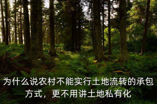 我國為什么不能實(shí)行農(nóng)村土地私有化,為什么土地絕不能私有化