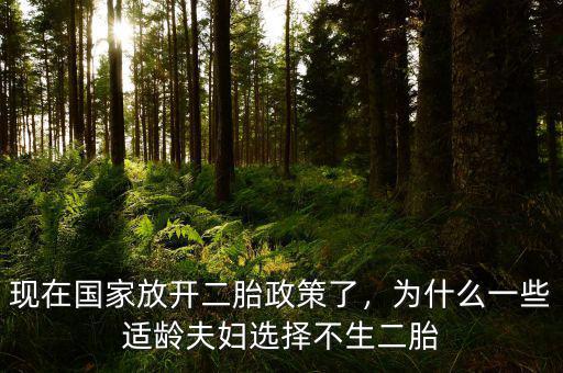 現(xiàn)在國(guó)家放開(kāi)二胎政策了，為什么一些適齡夫婦選擇不生二胎
