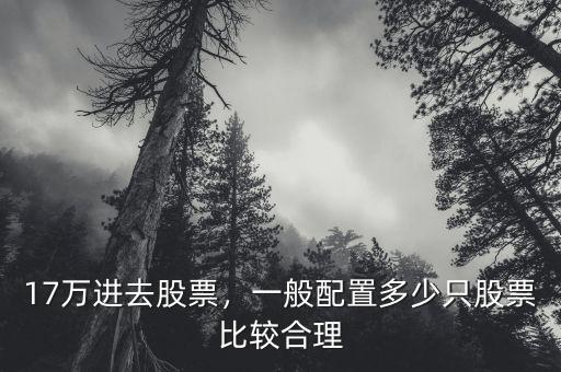 17萬進去股票，一般配置多少只股票比較合理
