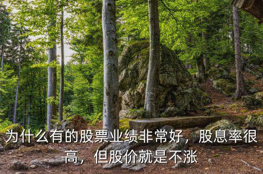 為什么有的股票業(yè)績非常好，股息率很高，但股價就是不漲