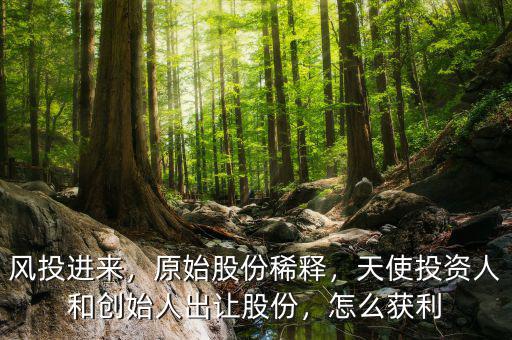 風(fēng)投進(jìn)來，原始股份稀釋，天使投資人和創(chuàng)始人出讓股份，怎么獲利