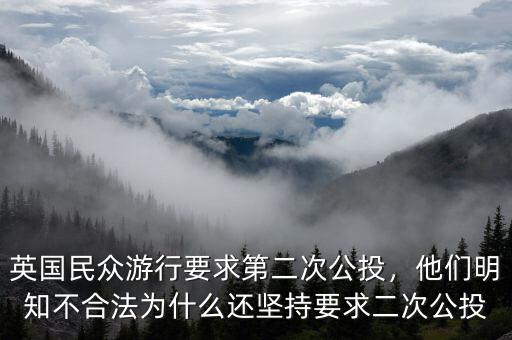 英國民眾游行要求第二次公投，他們明知不合法為什么還堅(jiān)持要求二次公投