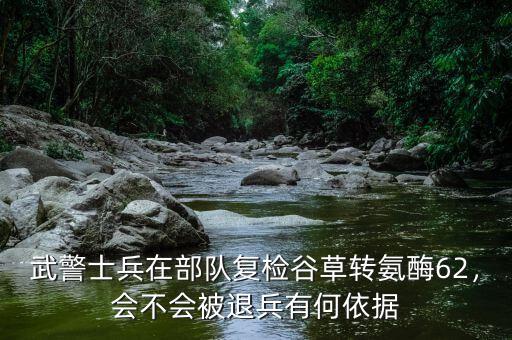 武警士兵在部隊復檢谷草轉氨酶62，會不會被退兵有何依據(jù)