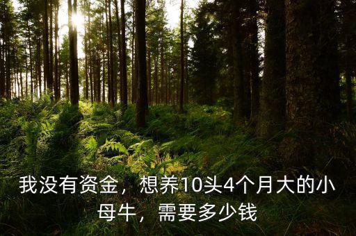 我沒(méi)有資金，想養(yǎng)10頭4個(gè)月大的小母牛，需要多少錢