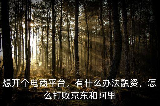 想開個電商平臺，有什么辦法融資，怎么打敗京東和阿里