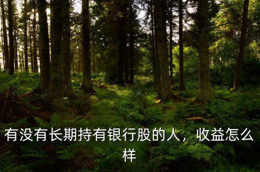 有沒(méi)有長(zhǎng)期持有銀行股的人，收益怎么樣