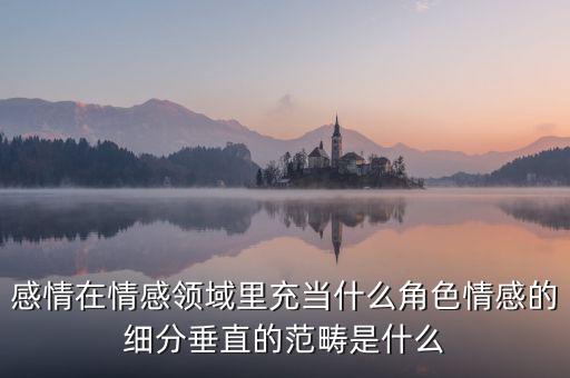 感情在情感領(lǐng)域里充當什么角色情感的細分垂直的范疇是什么