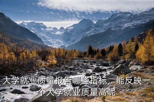 什么是就業(yè)指標,大學(xué)就業(yè)質(zhì)量報告哪些指標