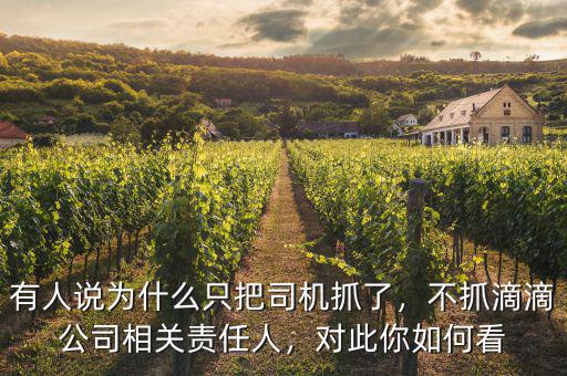 有人說為什么只把司機(jī)抓了，不抓滴滴公司相關(guān)責(zé)任人，對(duì)此你如何看