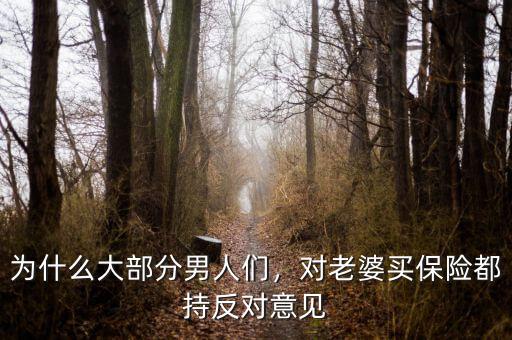 為什么大部分男人們，對(duì)老婆買保險(xiǎn)都持反對(duì)意見