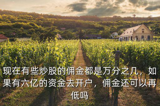 現(xiàn)在有些炒股的傭金都是萬(wàn)分之幾，如果有六億的資金去開(kāi)戶，傭金還可以再低嗎