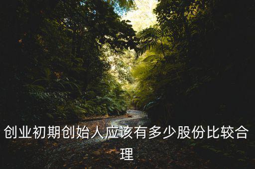 創(chuàng)始人應該占公司的多少股份,如何成為公司的實際控制人