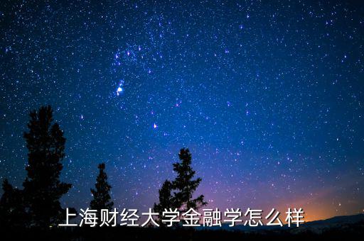上海開利財經(jīng)怎么樣,上海財經(jīng)大學數(shù)學專業(yè)怎么樣