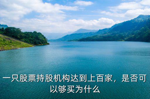 一只股票持股機(jī)構(gòu)達(dá)到上百家，是否可以夠買為什么