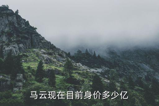 馬化騰身價多少億2016,馬云現在目前身價多少億