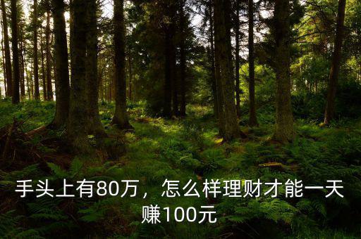 手頭上有80萬(wàn)，怎么樣理財(cái)才能一天賺100元