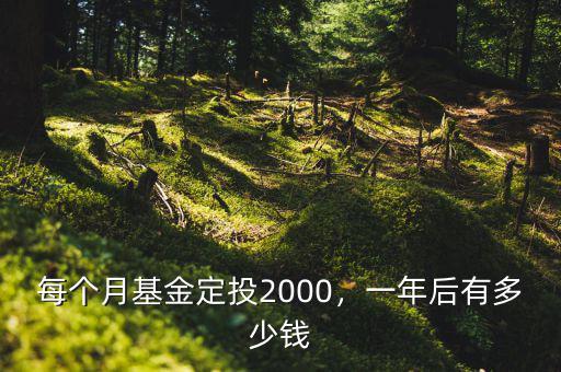 每個月基金定投2000，一年后有多少錢