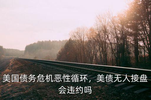 美國(guó)債務(wù)危機(jī)惡性循環(huán)，美債無(wú)人接盤(pán)會(huì)違約嗎