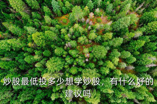 炒股最低投多少想學(xué)炒股，有什么好的建議嗎