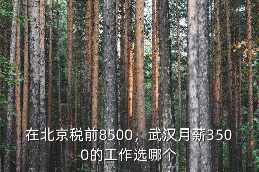 在北京稅前8500，武漢月薪3500的工作選哪個(gè)