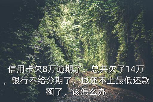 信用卡欠8萬逾期了，總共欠了14萬，銀行不給分期了，也還不上最低還款額了，該怎么辦
