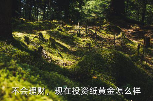 不會理財(cái)，現(xiàn)在投資紙黃金怎么樣